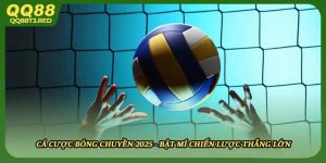 Cá Cược Bóng Chuyền 2025 - Bật Mí Chiến Lược Thắng Lớn