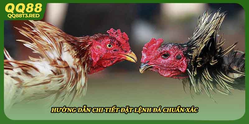 Hướng dẫn chi tiết đặt lệnh đá chuẩn xác